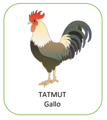 Animales domésticos en Tseltal